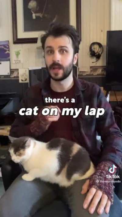 Petition for this to be the subs theme song