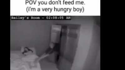 Posting memes to cover up the anti-anti-furry stuff