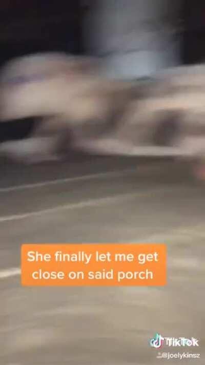 Omg she’s precious