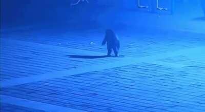 Putting an explosive down the sewer