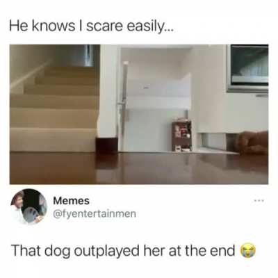 Dog jumpscare