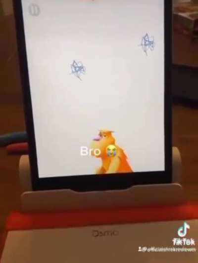 Why is he riding dick? Is he stupid?