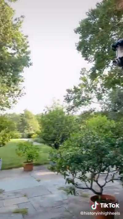 It’s beautiful 🥺