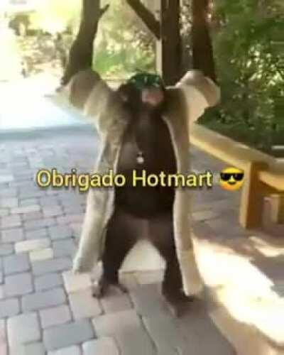 Olha meu novo Drip...