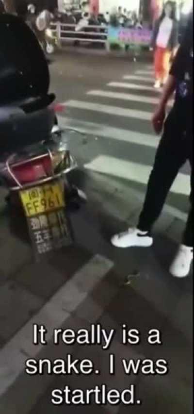 Messing around with a venomous snake.