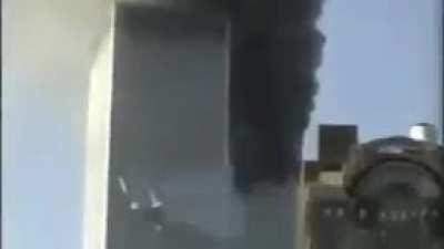 Wtf sportacus premium wtf