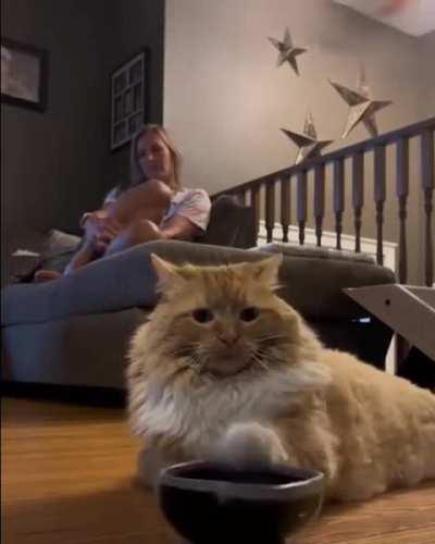 Just give him some food lol