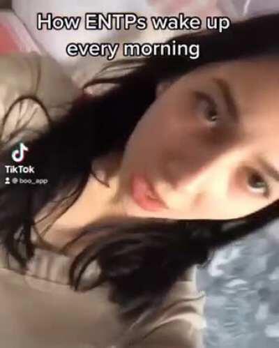 How ENTPs wake up every morning