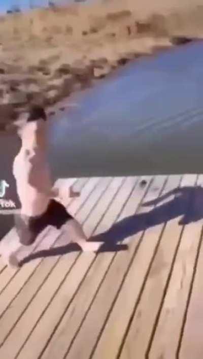 I nearly died when I first saw this