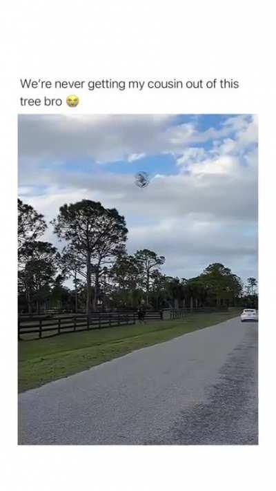 He belongs to the vegetation now