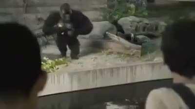 Monke sad, sad monke