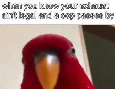 sneaks past in low rpm*