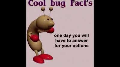Very cool, I wish I was like bug