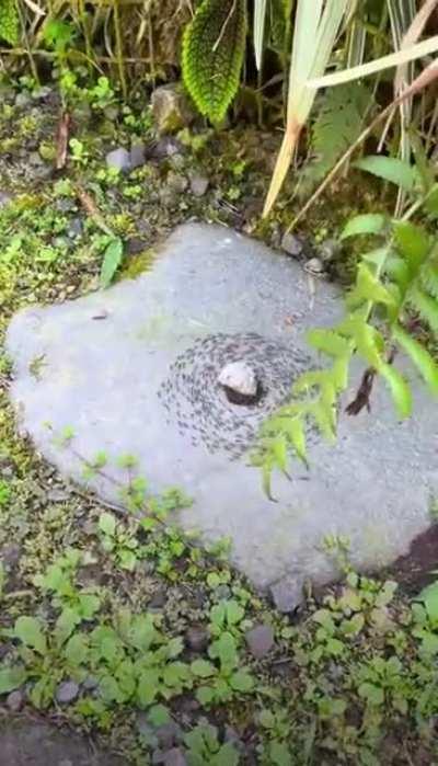 When you don’t get a permit to visit Mecca 🕋