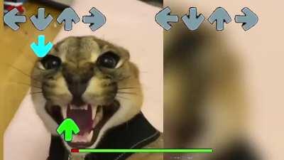 Floppa rap battle (real 4K)