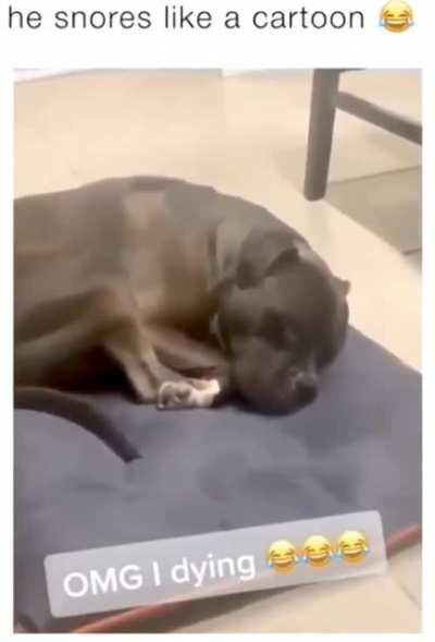 OK, this one made my morning