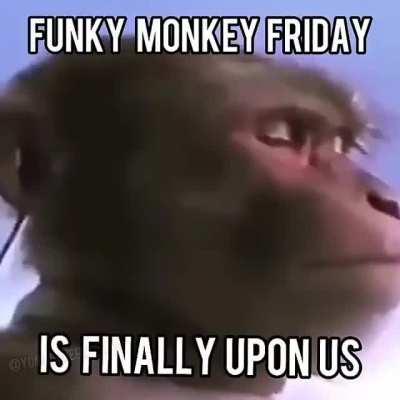 FUNKY MONKE FRIDAY (rule)