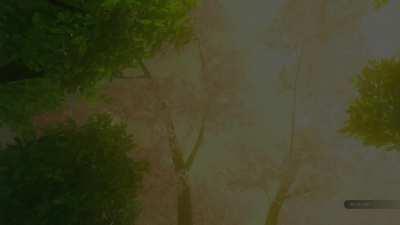 After 4 years, Master Sword stealing with a single piece of wood has been found.