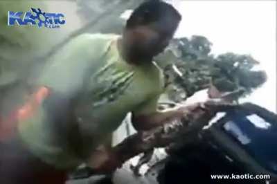 I know it is hard to believe but kissing a crocodilian is a bad idea