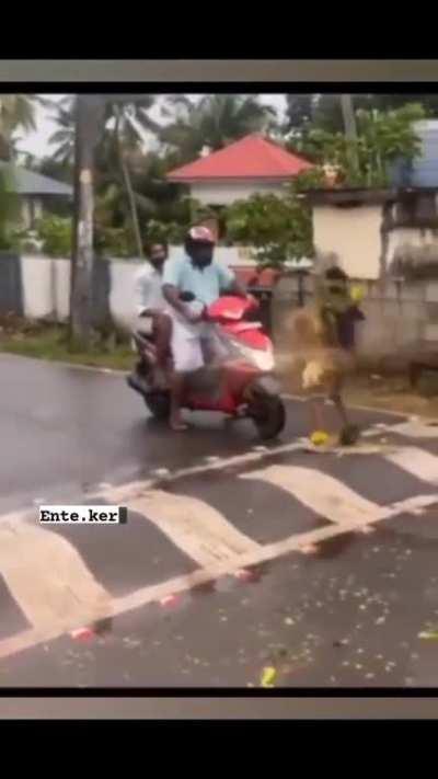 Chettan passed the vibe check