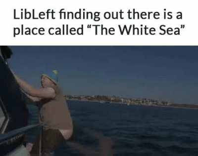 LibLeft learns about The White Sea