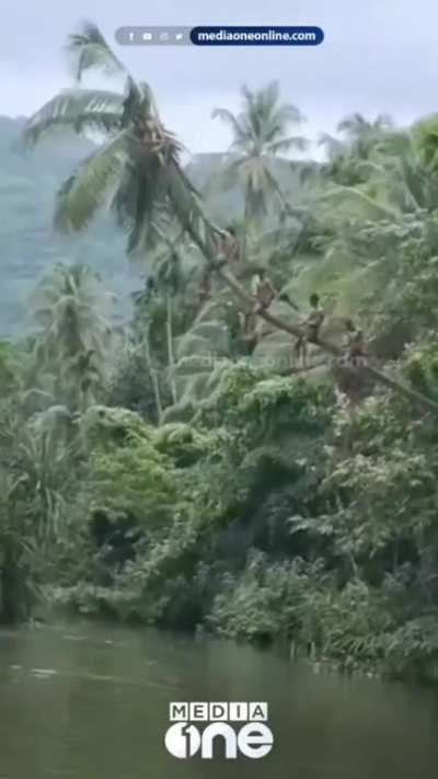 Tourists who climbed on top of a leaning coconut tree to jump from a height met with an accident.