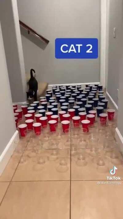 Ain't nobody got time for that...