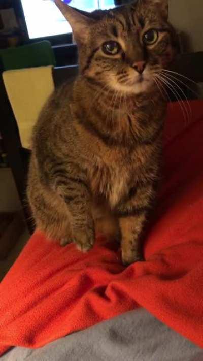 I was pretending to play on my phone