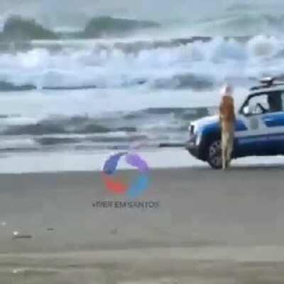 please ma'am, go home