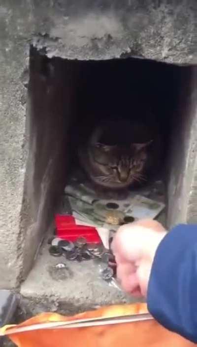 A professional banker who knows a lot about dividends.