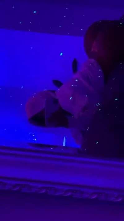 Ridiculous...just ridiculous