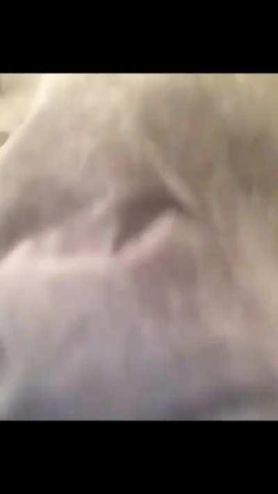 Join r/Tw3rkPalace & post twerk vids