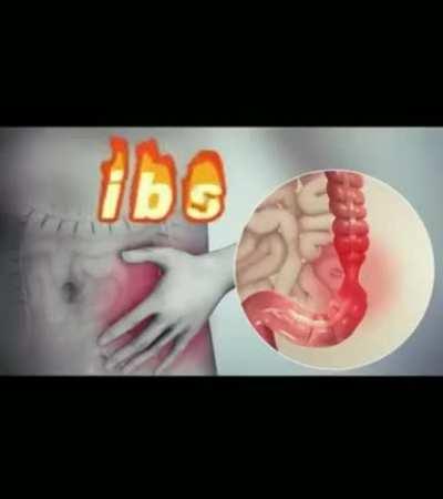 Epic rap battles of history