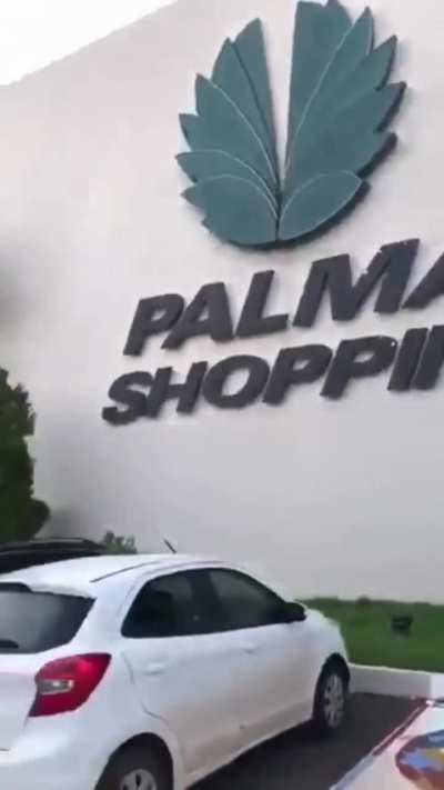 Burrice em sua forma mais pura