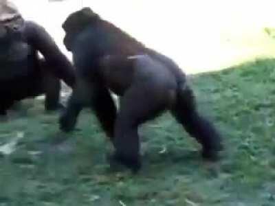 na literalmente el chat