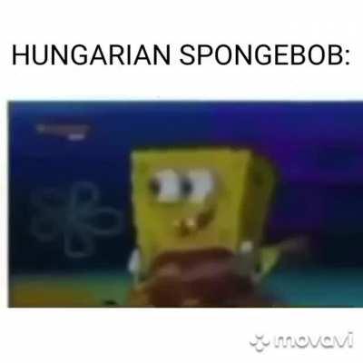 HUNGARIAN SPONGEBOB