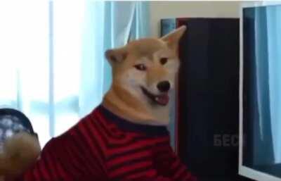 Животная ярость!