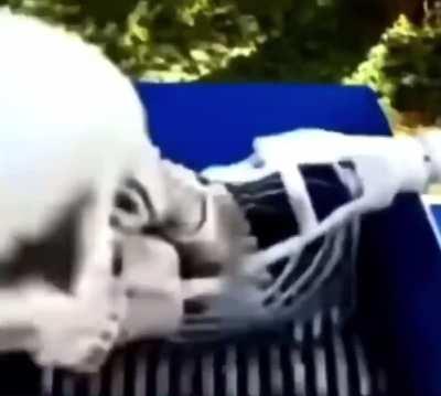 Book’s fear garden death in a nutshell