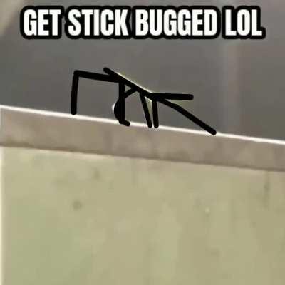 get stick bugged lol