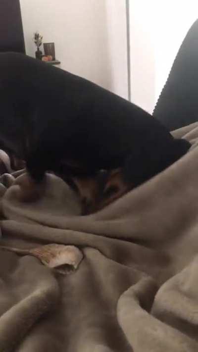 The 220 ween plug ⚡️🔋