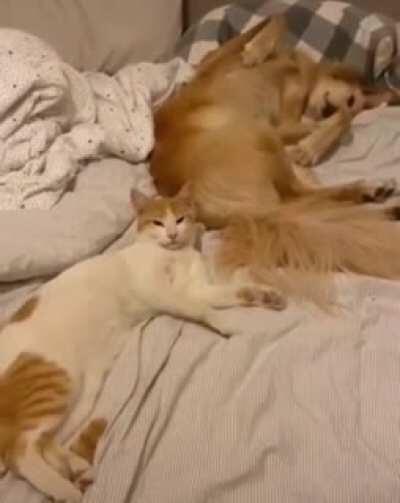 How did I wake up? 😳