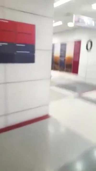 Cat catches a bat mid air