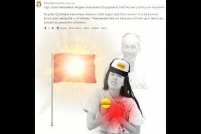 The glorious banner emits an aura too powerful for gusanos to withstand 🇻🇳