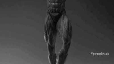 Rakun nos dice chad yo en corto