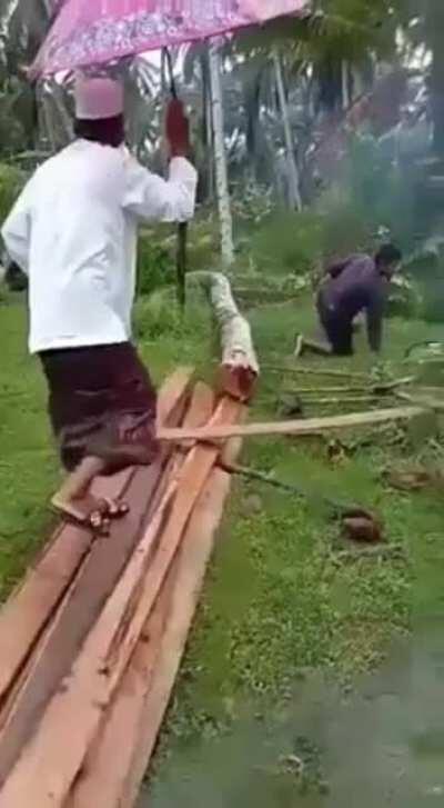 WCGW standing too near to the tree you’re cutting down