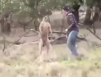 Šta je? Šta si bleno?