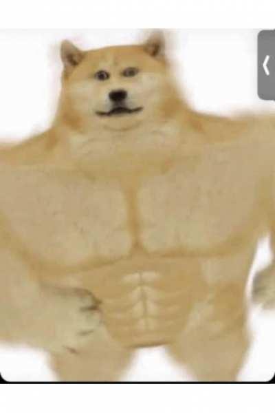 You better run! (GIF Remake)