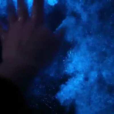 Bioluminescent algae on the pacific coast