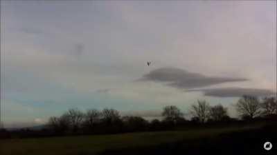 Always one of my favorites. Buddies enjoying a plane they made