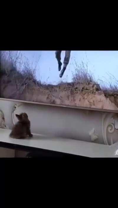 It searching to him after he fall, I am dying.